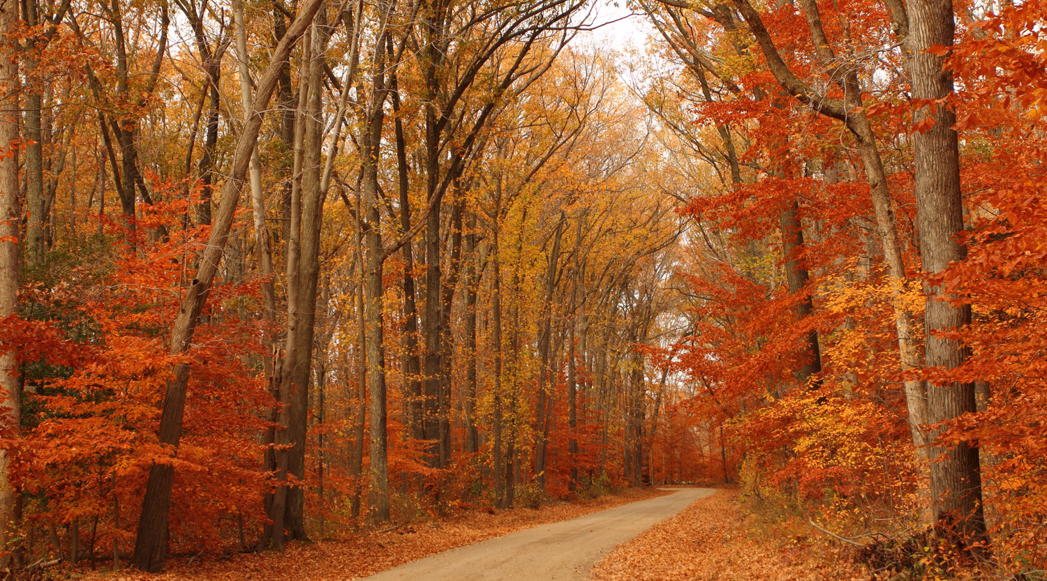 Hello, Fall: Caring for Eczema as Summer Winds Down